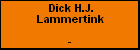 Dick H.J. Lammertink