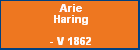 Arie Haring