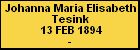 Johanna Maria Elisabeth Tesink
