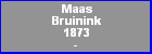 Maas Bruinink