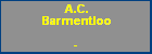 A.C. Barmentloo