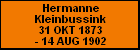 Hermanne Kleinbussink