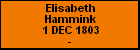 Elisabeth Hammink