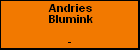 Andries Blumink