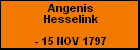 Angenis Hesselink