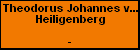 Theodorus Johannes van den Heiligenberg