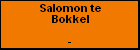 Salomon te Bokkel