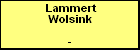Lammert Wolsink